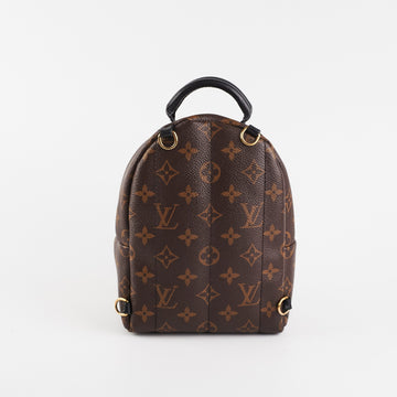 Louis Vuitton Palm Spring Mini Monogram