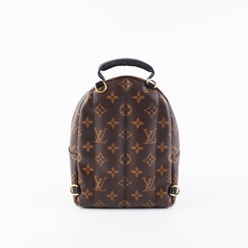 Louis Vuitton Palm Spring Mini Monogram