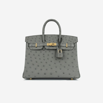 Hermès Hermès - Birkin 25 - Gris Meyer Ostrich GHW - 2024 - Brand New