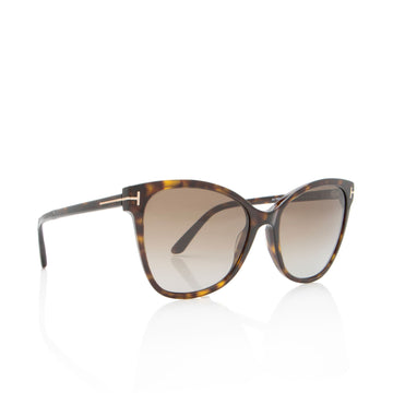 Tom Ford Polarized Ani Sunglasses