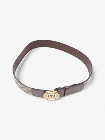 Gucci CS Interlocking Belt CS Supreme / Brown / Gold Canvas 95cm / 38"