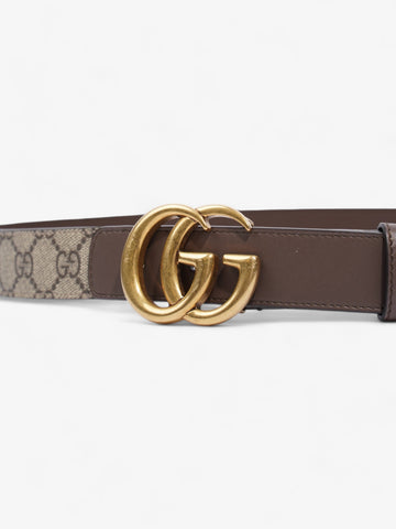 Gucci CS Marmont Belt CS Supreme / Brown / Gold Canvas 85cm / 34"