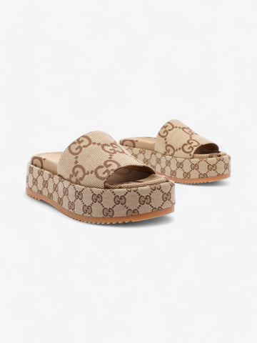 Gucci Angelina Camel And Ebony CS Supreme Canvas EU 38 UK 5