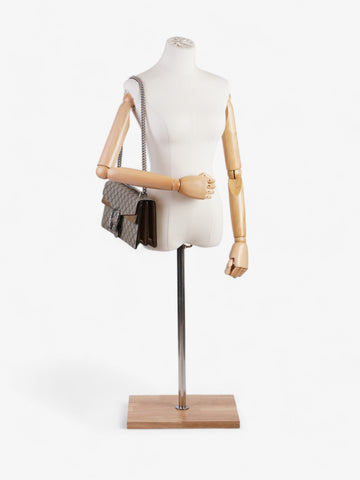 Gucci Dionysus Beige And Ebony CS Supreme Coated Canvas Small