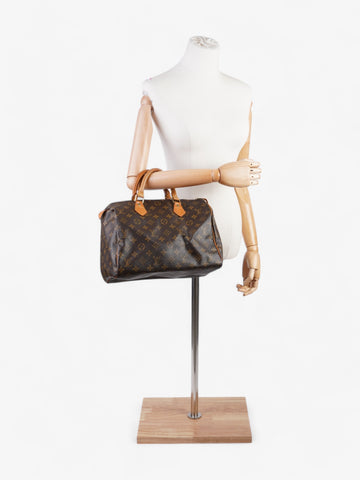 Louis Vuitton Speedy Monogram Canvas 30