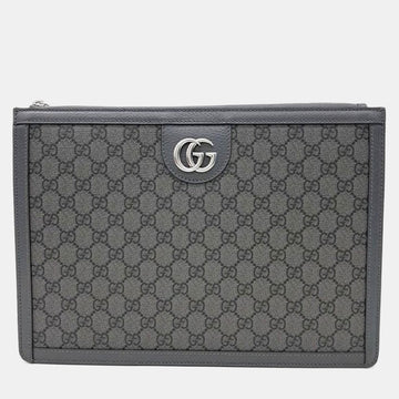 Ophidia Portfolio Case