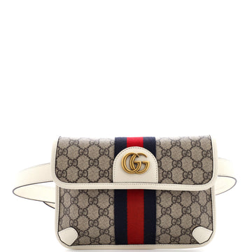 Ophidia Flap Belt Bag VS Coated Canvas