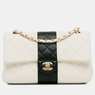 Medium Bi-Stripe Classic Lambskin Double Flap