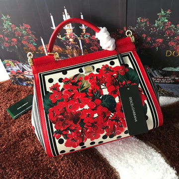 CS - DG Bags - 255
