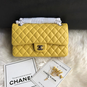 VS Fashion - CHL Bags - 433