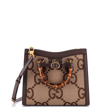 Diana NM Bamboo Handle Tote Jumbo VS Canvas Small