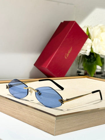 VS - CRA Glasses - 081